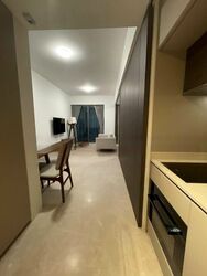 Harbourfront Avenue (D4), Condominium #483347531